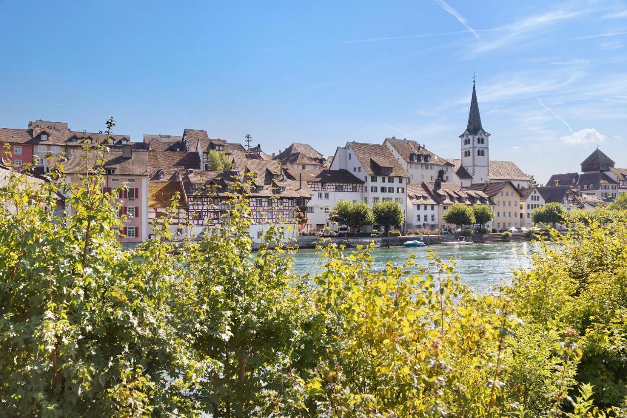 Am Hochrhein Desko Apartment Gailingen Ngoại thất bức ảnh