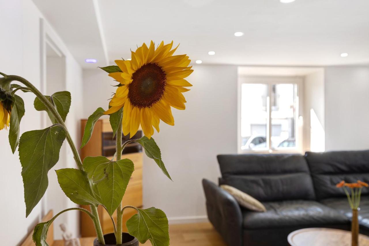Am Hochrhein Desko Apartment Gailingen Ngoại thất bức ảnh
